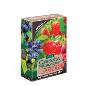 Nutrimento fragole bio granulare